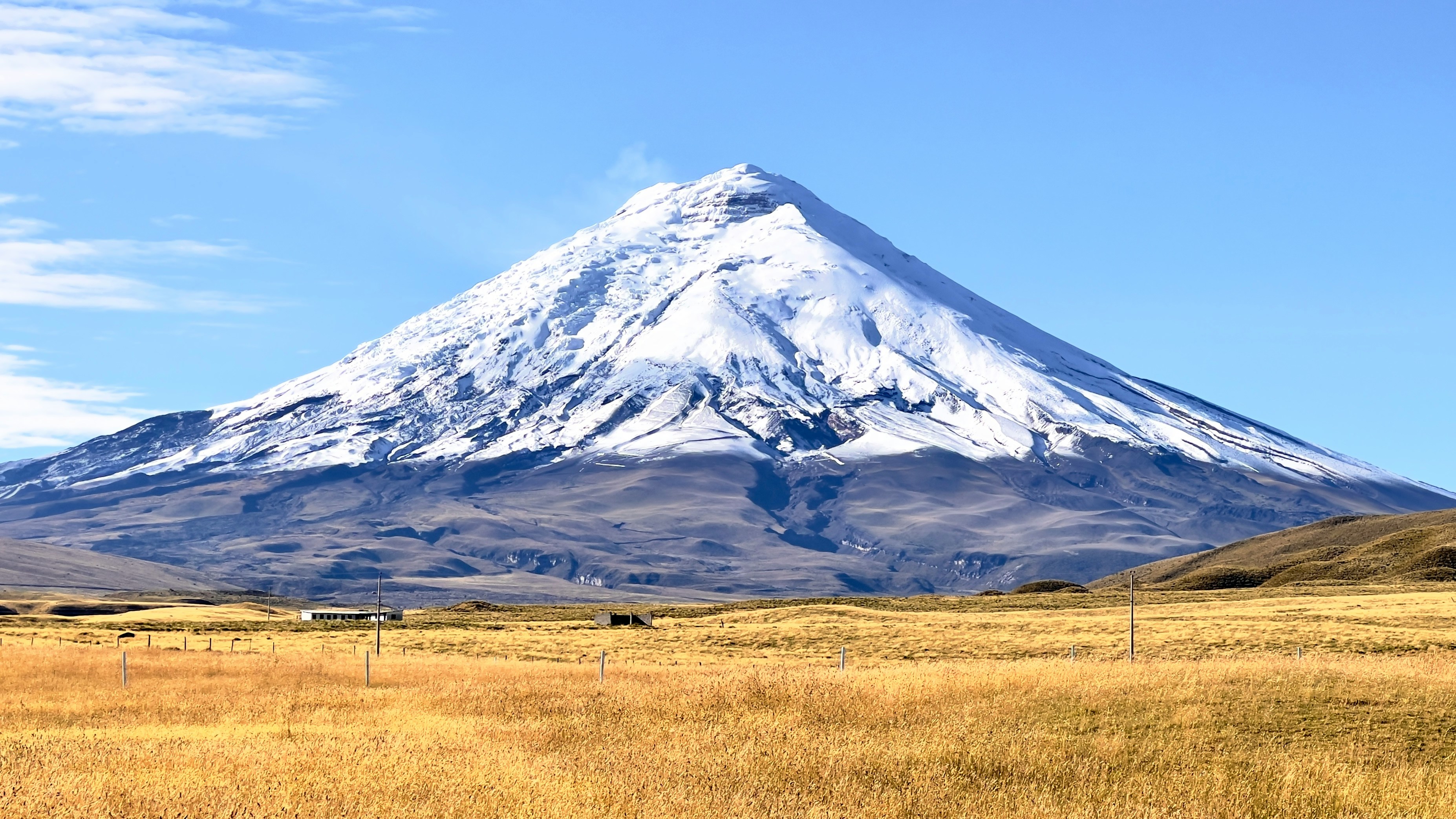 Vulkan Cotopaxi mit schneebedecktem Gipfel und goldenen Páramo-Grasebenen